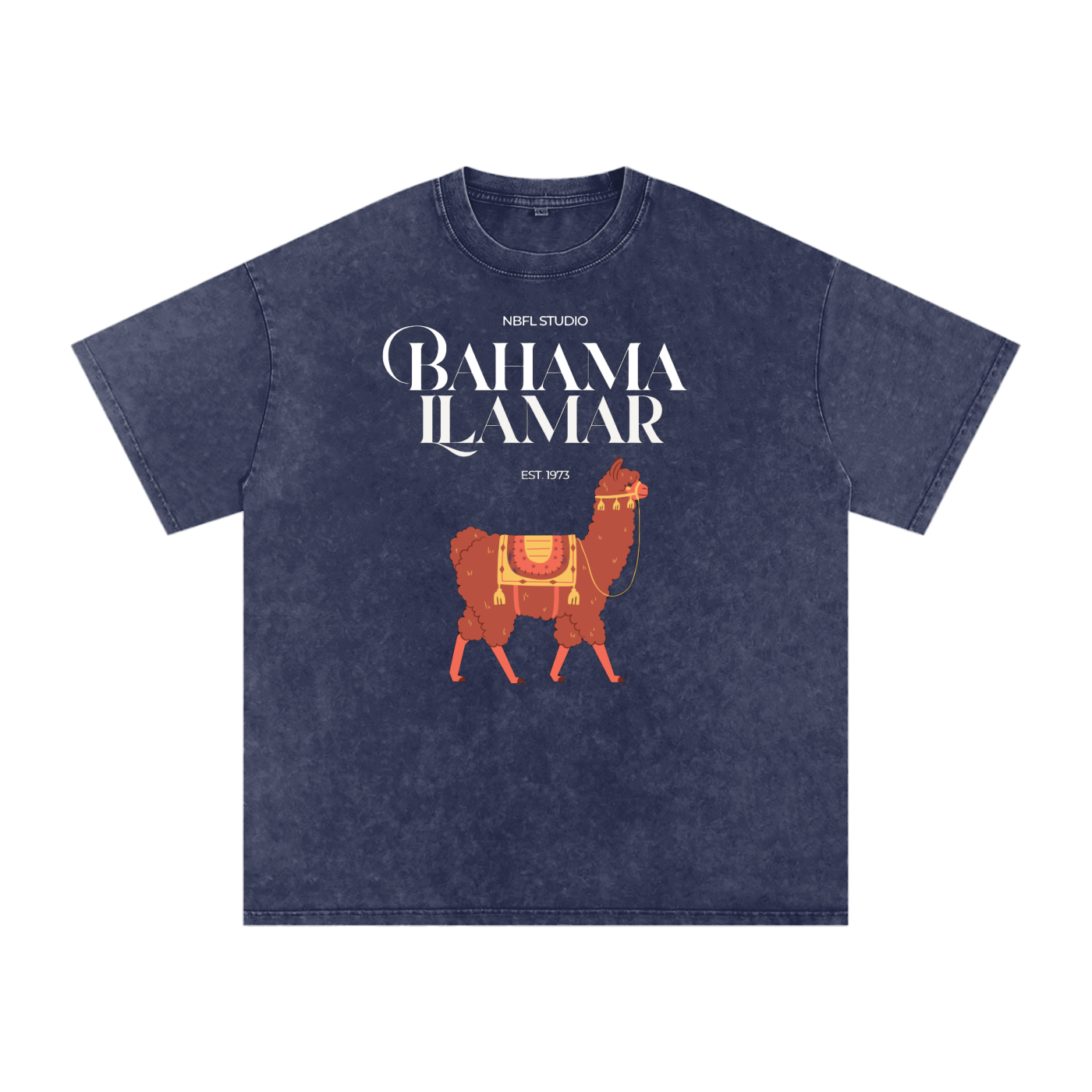 Bahama Llamar Acid Wash Oversize T-Shirt