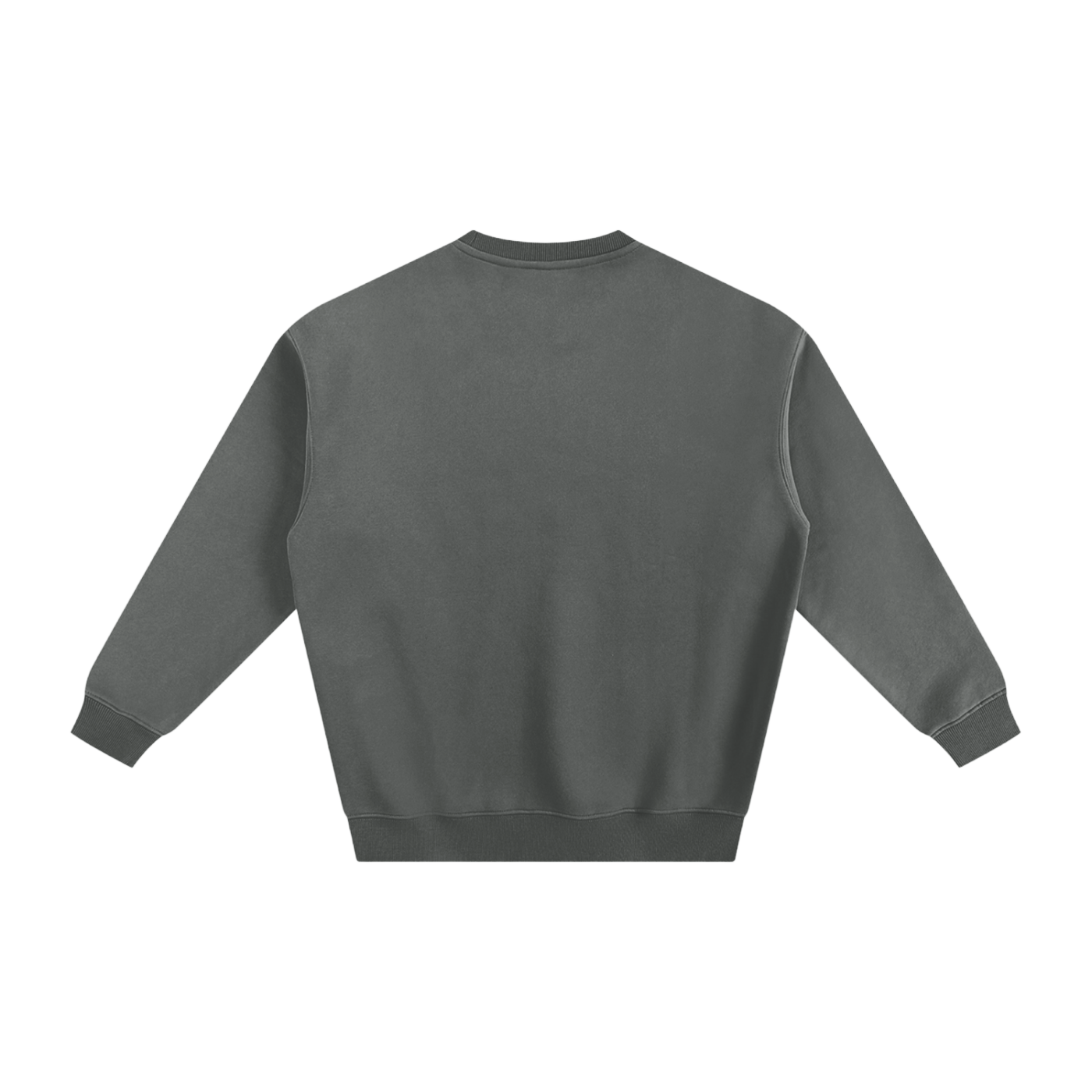 BLANK Fleeced Sweatshirt
