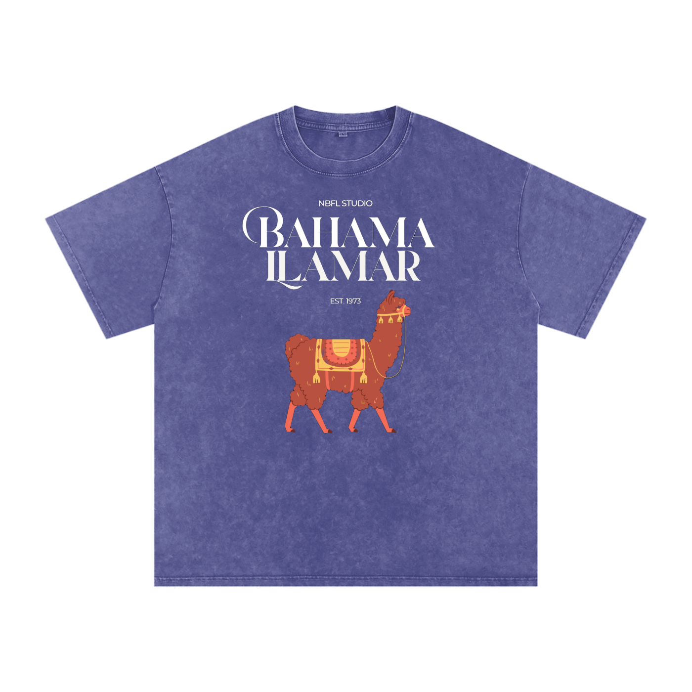 Bahama Llamar Acid Wash Oversize T-Shirt