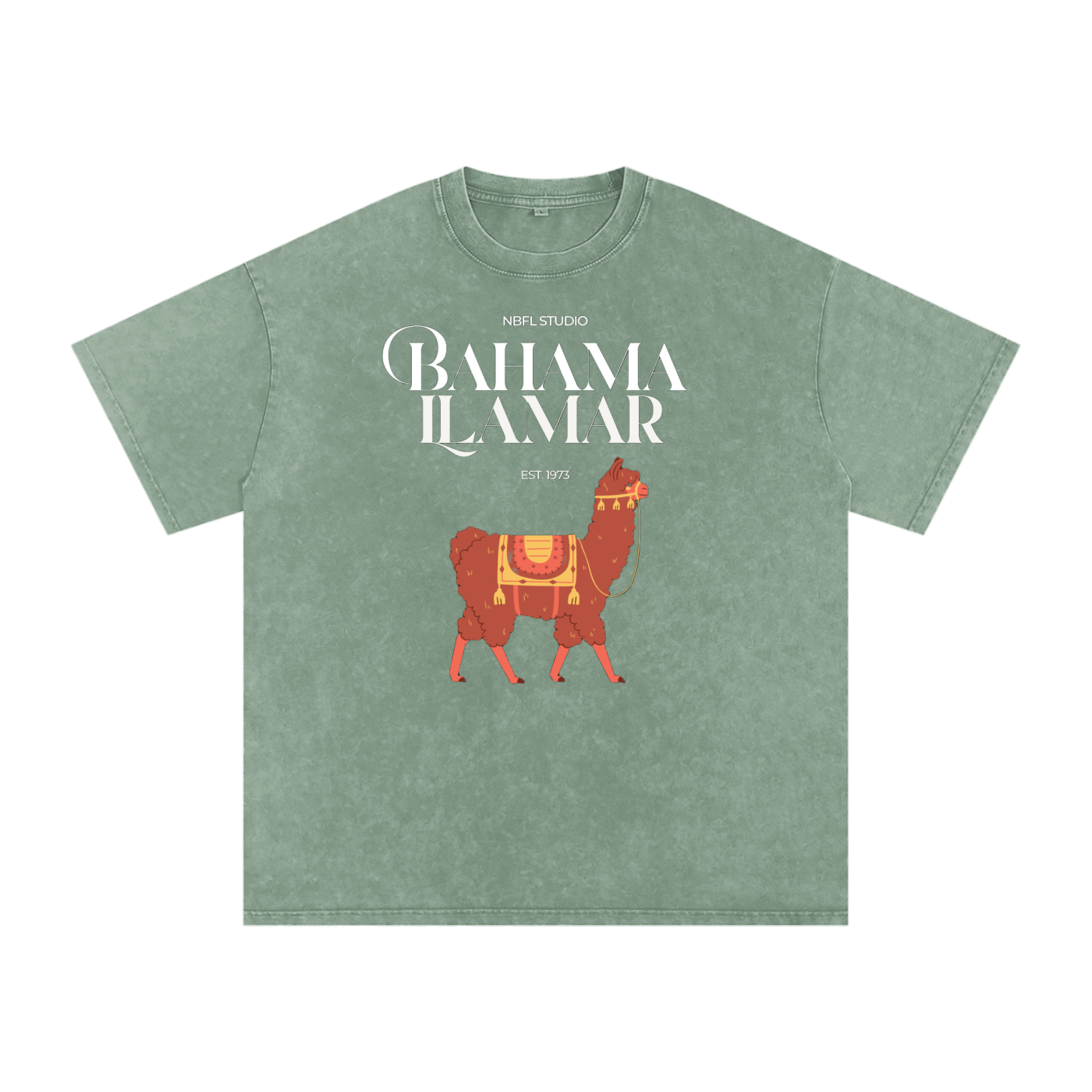 Bahama Llamar Acid Wash Oversize T-Shirt