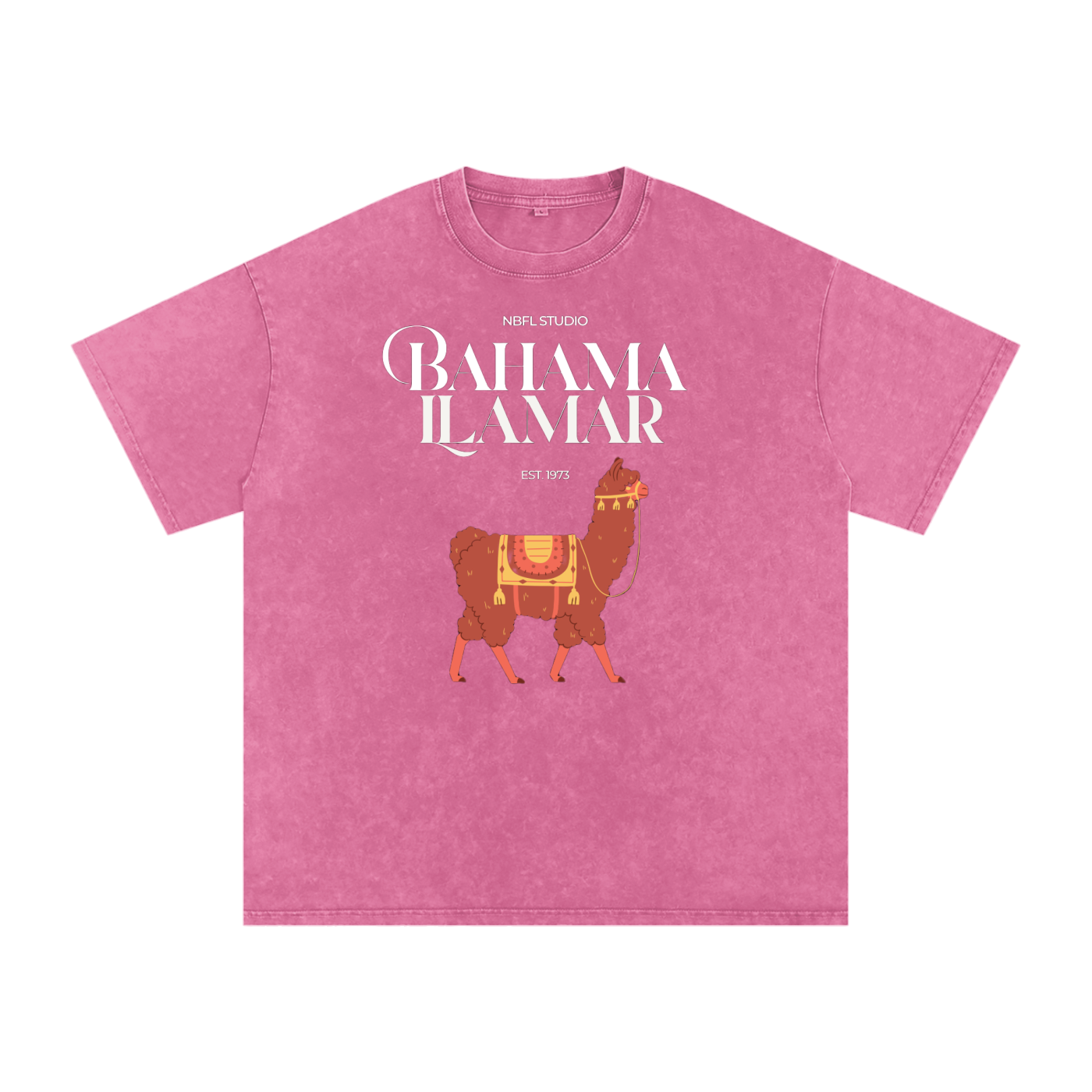 Bahama Llamar Acid Wash Oversize T-Shirt