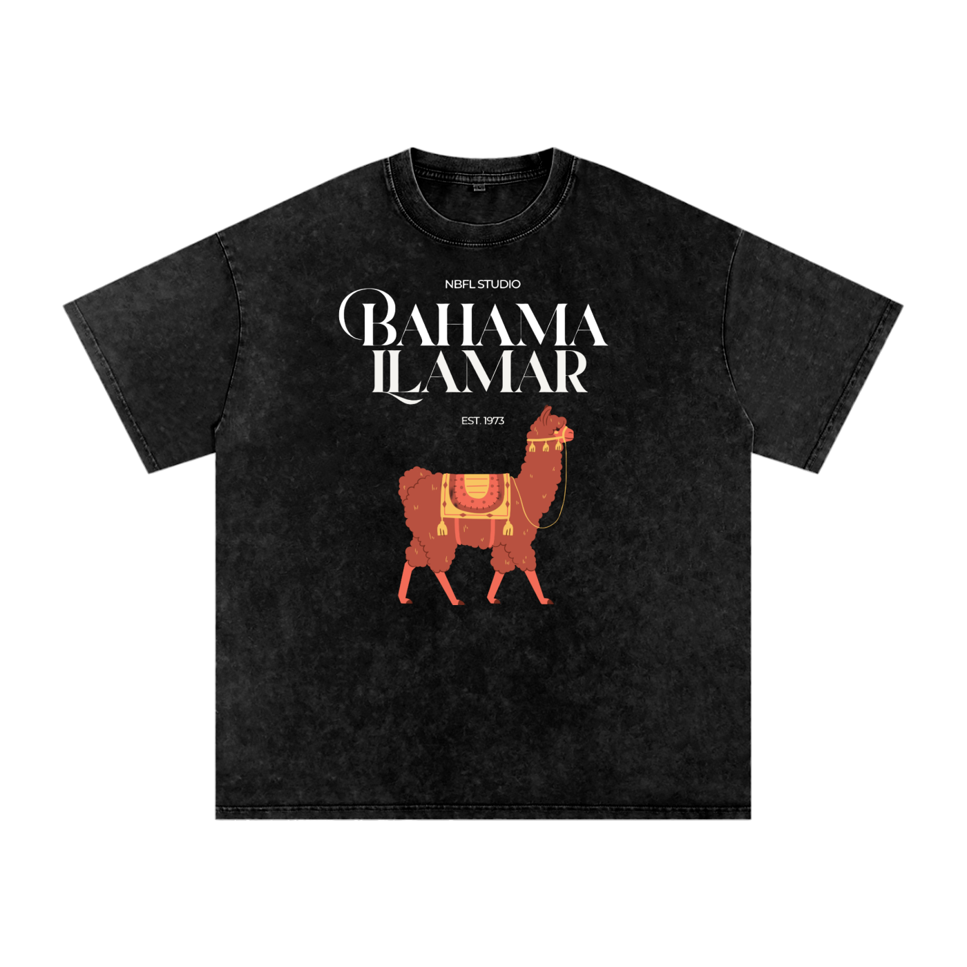 Bahama Llamar Acid Wash Oversize T-Shirt