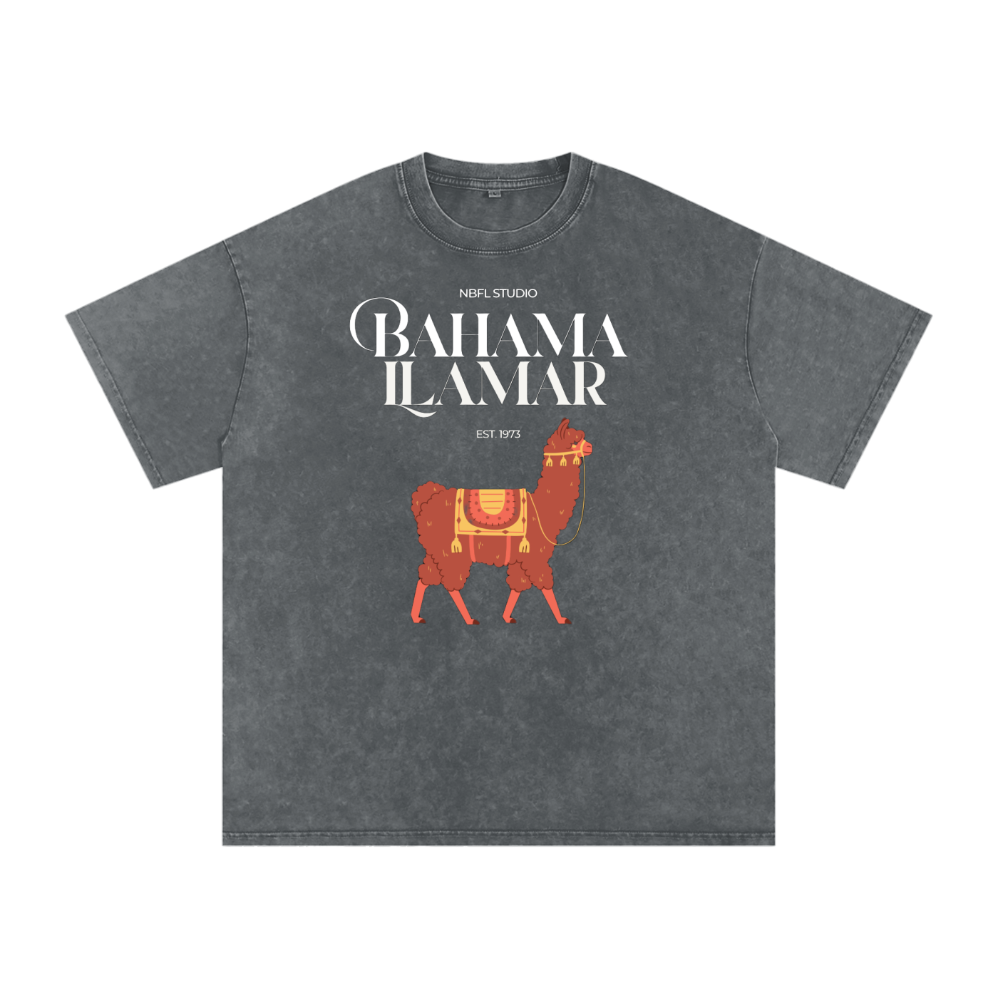 Bahama Llamar Acid Wash Oversize T-Shirt