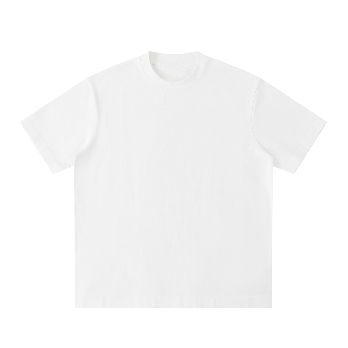 BLANK Heavyweight Vintage Washed Frayed T-Shirt